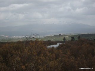 lle del Simeto-24-02-2013 11-42-30